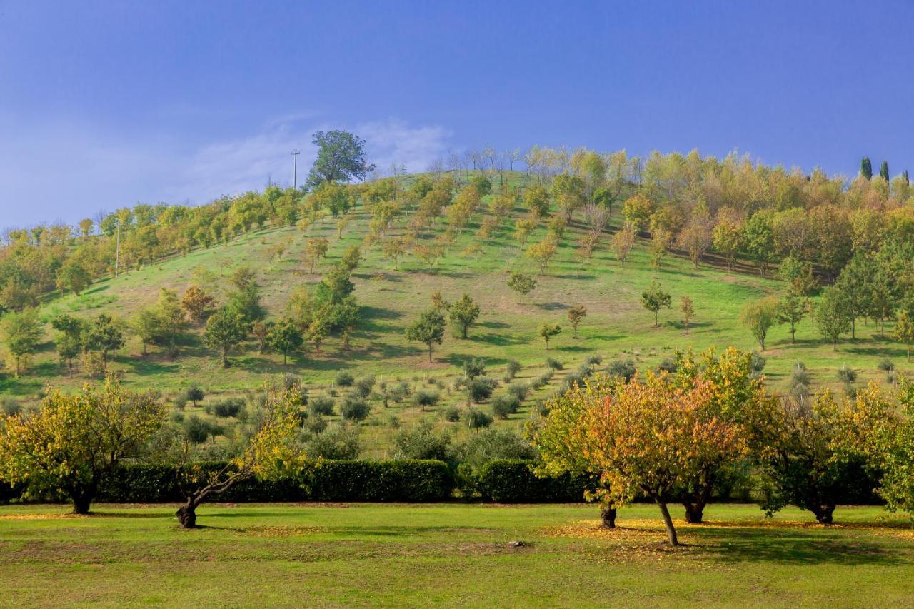 Ca' Malvasia - Bolognarooms Montecchio  Kültér fotó